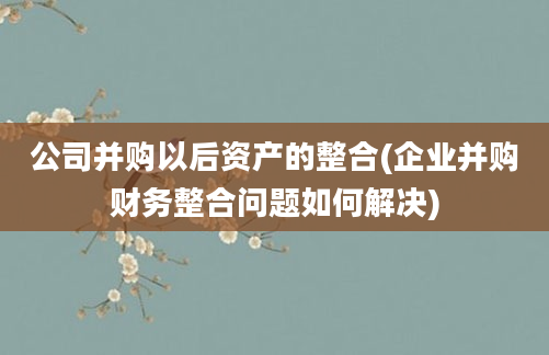 公司并购以后资产的整合(企业并购财务整合问题如何解决)