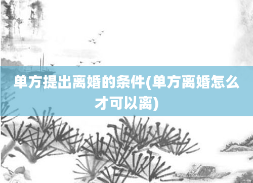 单方提出离婚的条件(单方离婚怎么才可以离)