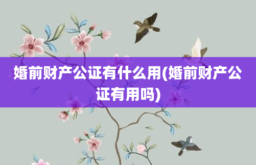 婚前财产公证有什么用(婚前财产公证有用吗)