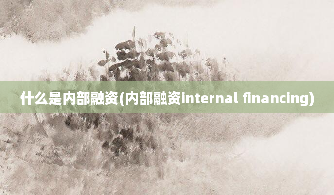 什么是内部融资(内部融资internal financing)