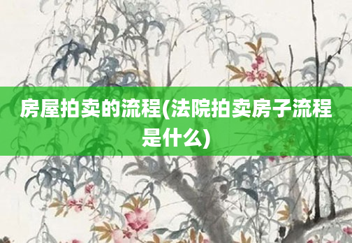 房屋拍卖的流程(法院拍卖房子流程是什么)