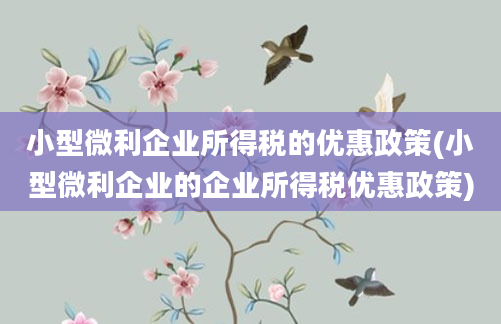 小型微利企业所得税的优惠政策(小型微利企业的企业所得税优惠政策)