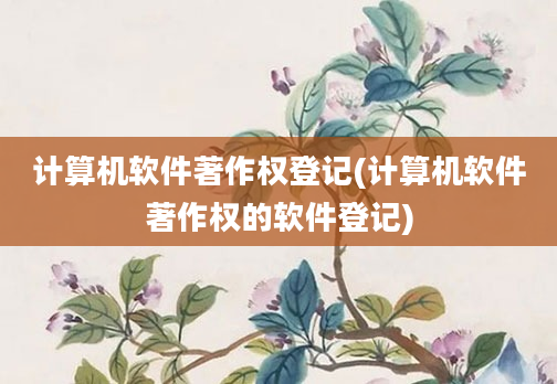 计算机软件著作权登记(计算机软件著作权的软件登记)