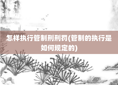 怎样执行管制刑刑罚(管制的执行是如何规定的)