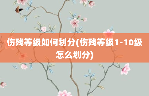 伤残等级如何划分(伤残等级1-10级怎么划分)