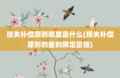 损失补偿原则限度是什么(损失补偿原则的量的限定是指)