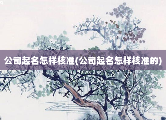 公司起名怎样核准(公司起名怎样核准的)