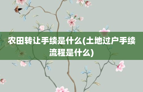 农田转让手续是什么(土地过户手续流程是什么)