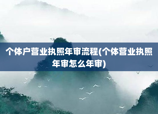 个体户营业执照年审流程(个体营业执照年审怎么年审)