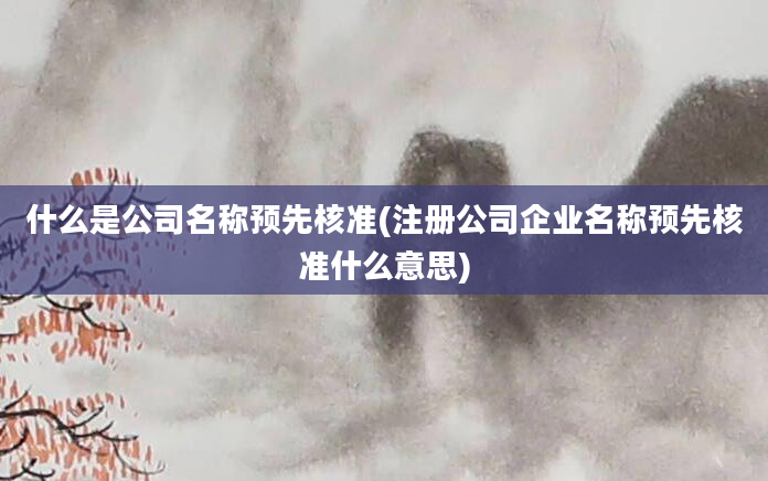 什么是公司名称预先核准(注册公司企业名称预先核准什么意思)