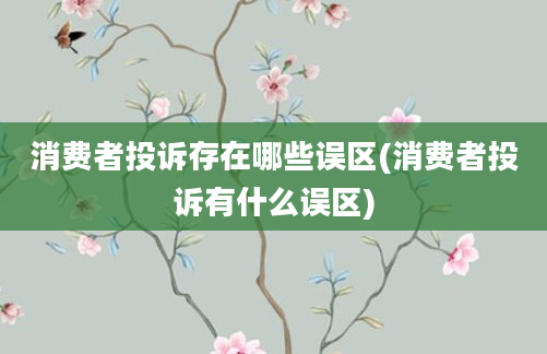 消费者投诉存在哪些误区(消费者投诉有什么误区)