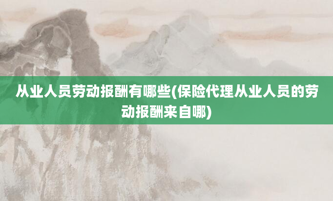 从业人员劳动报酬有哪些(保险代理从业人员的劳动报酬来自哪)