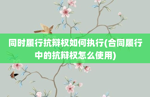 同时履行抗辩权如何执行(合同履行中的抗辩权怎么使用)