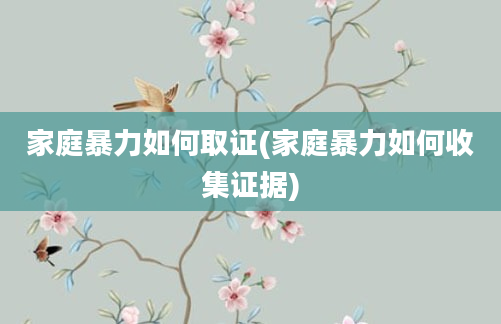 家庭暴力如何取证(家庭暴力如何收集证据)