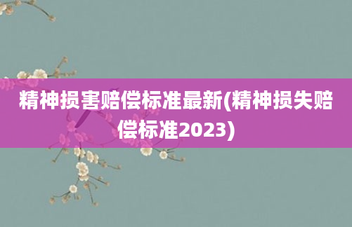 精神损害赔偿标准最新(精神损失赔偿标准2023)