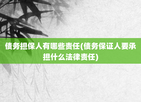 债务担保人有哪些责任(债务保证人要承担什么法律责任)