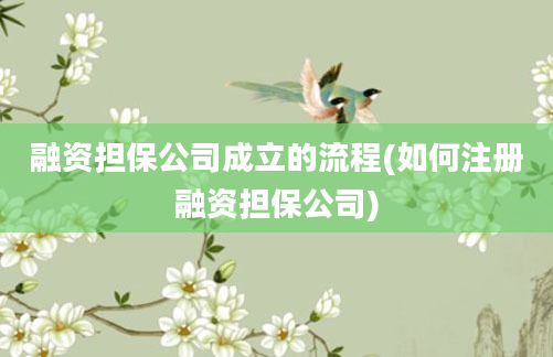 融资担保公司成立的流程(如何注册融资担保公司)