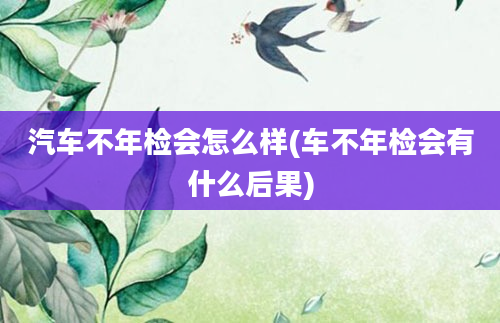 汽车不年检会怎么样(车不年检会有什么后果)