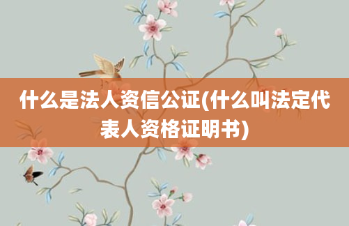 什么是法人资信公证(什么叫法定代表人资格证明书)