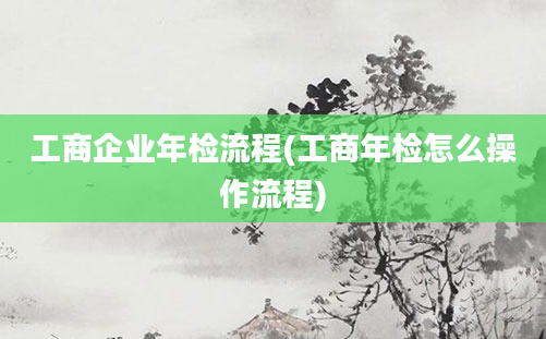 工商企业年检流程(工商年检怎么操作流程)