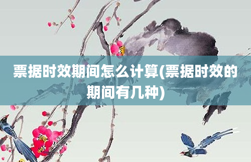 票据时效期间怎么计算(票据时效的期间有几种)