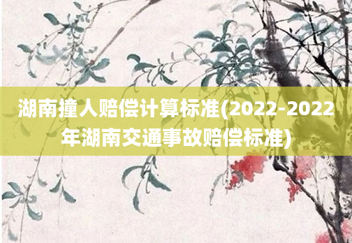 湖南撞人赔偿计算标准(2022-2022年湖南交通事故赔偿标准)