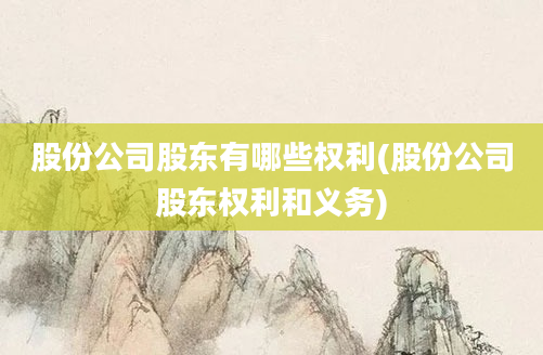 股份公司股东有哪些权利(股份公司股东权利和义务)