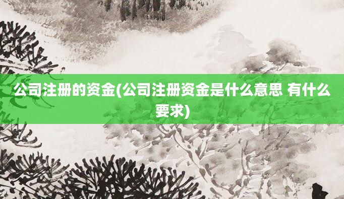 公司注册的资金(公司注册资金是什么意思 有什么要求)