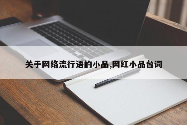 关于网络流行语的小品,网红小品台词