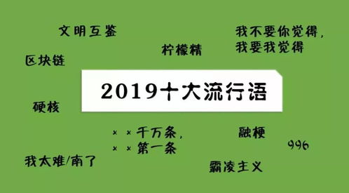 网络流行语小目标,网络流行语小目标有哪些