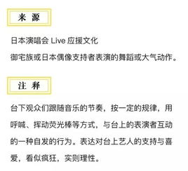 外国网络流行语研究,中外网络流行语的对比研究