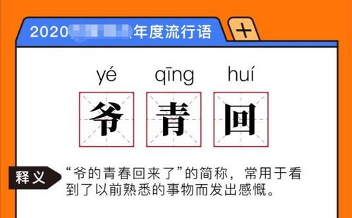 上海的网络流行语,上海人网络用语