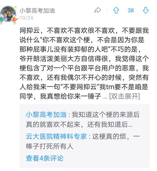 点评网络流行语,评价网络流行语作文