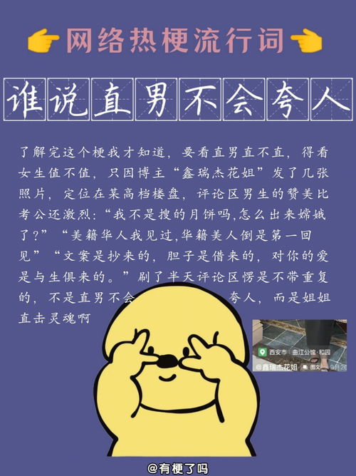 关于网络流行语什么什么梗的信息