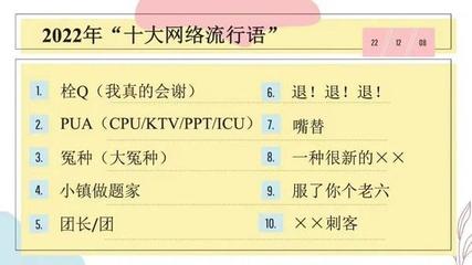 网络流行语小研讨,网络流行语课题研究