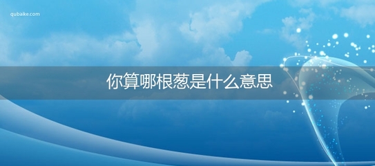 我爱网络流行语作文,网络流行语800字