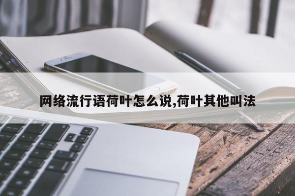 网络流行语荷叶怎么说,荷叶其他叫法