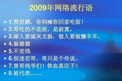 网络流行语ip怎么用,网络流行语ip怎么用英文说