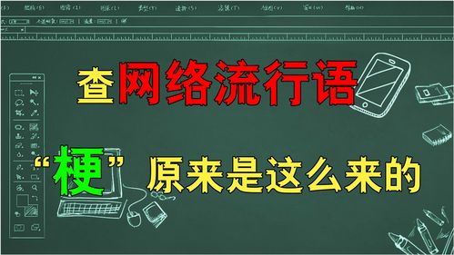 网络流行语词,网络流行语词性混同