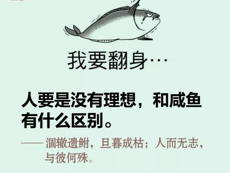 网络流行语古诗翻译,网络流行语古诗翻译软件