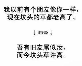 骂人最新网络流行语,骂人最新网络流行语言