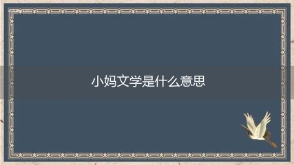 小说用网络流行语,小说网络语言