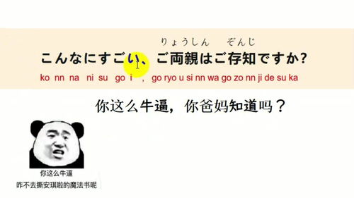 校园流行语网络用语,关于校园网络流行语的调查报告