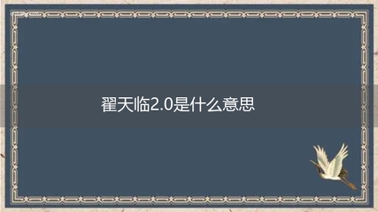 艺人说网络流行语是什么_网络艺人是什么工作