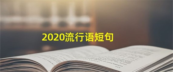 网络流行语英语短句_网络流行词的英语翻译