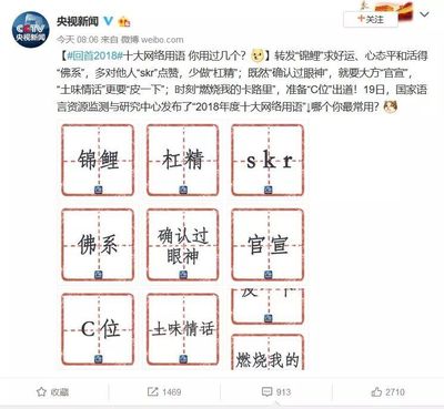 关于网络流行语的时评,关于网络流行语的议论文