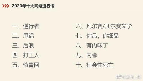 网络流行语社会性,社会流行语和网络语言