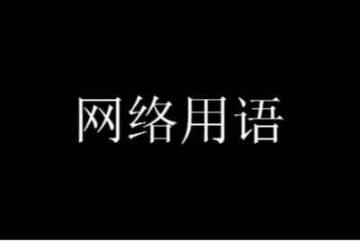 搜索网络流行语十字_十条网络用语和解释