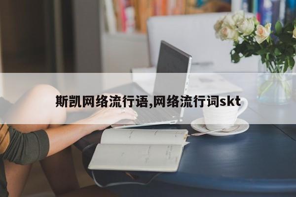 斯凯网络流行语,网络流行词skt