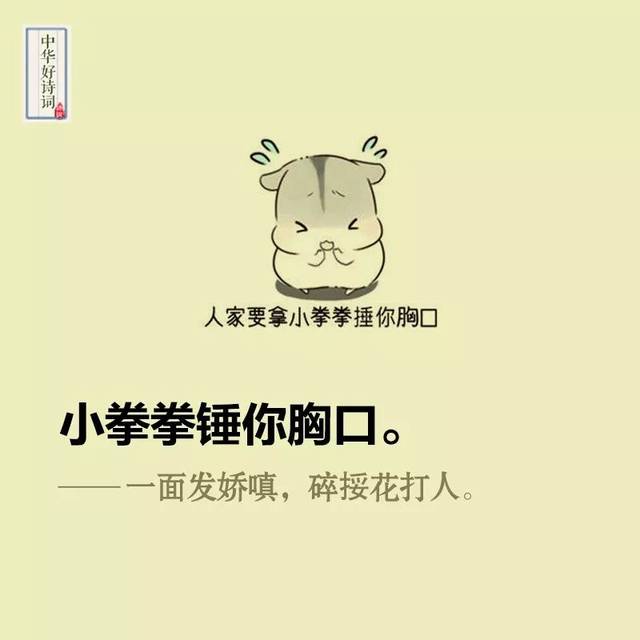 网络流行语野生捕捉,法院政工干部个人工作总结